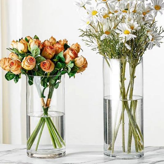Francie Transparent Glass Vase